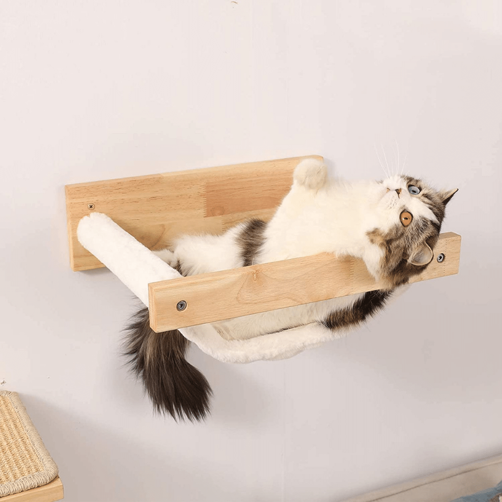 Climbing to Cat-tastic Heights with these Purr-fect Shelves