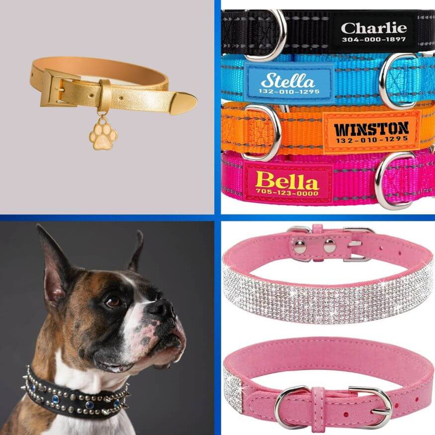  How Tight Should A Dog's Collar Be?