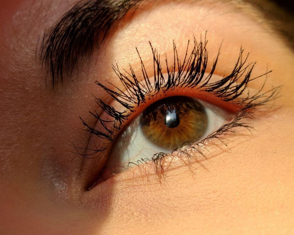 close up of brown colored eye and eyelashes