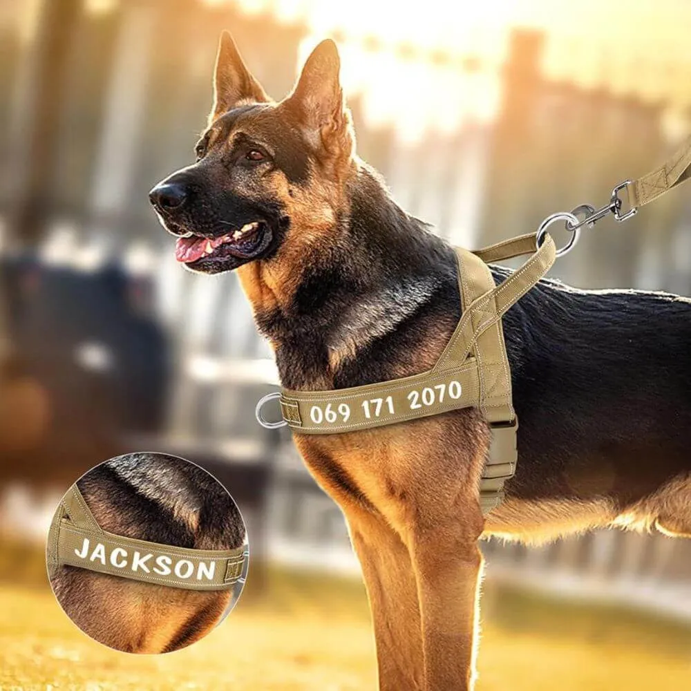 Unleash The Power Of A Tactical Dog Harness: The 5 BEST Picks!
