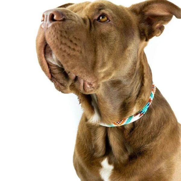 Unleash Your Pet's Style & Flair With A Beaded Dog Collar!