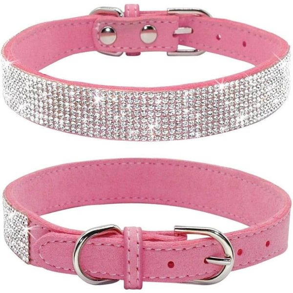 Dazzling Best Friend: Luxurious World of Diamond Dog Collars